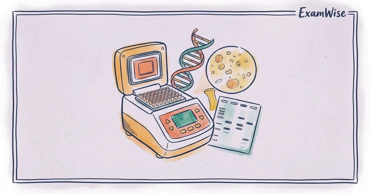 醫檢師分檢鏡檢 111-115 年出題趨勢（醫檢師系列⑥）