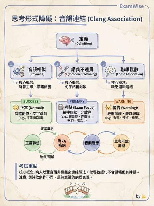 護理師 - 思覺失調症護理 - AI 圖文解析預覽