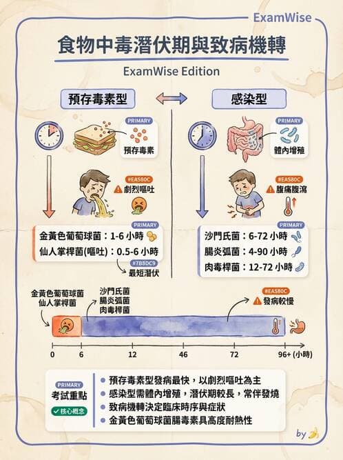 護理師 - 環境衛生與護理 - AI 圖文解析預覽
