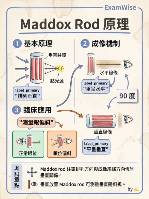 驗光生 - 眼位偏斜檢查 - AI 圖文解析預覽