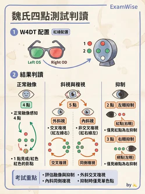 驗光生 - 雙眼感知與融像檢查 - AI 圖文解析預覽