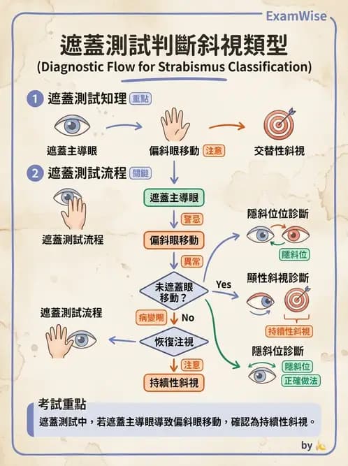 驗光生 - 眼位偏斜檢查 - AI 圖文解析預覽