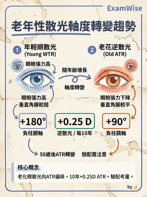 驗光生 - 老花眼基礎概念與調節幅度 - AI 圖文解析預覽