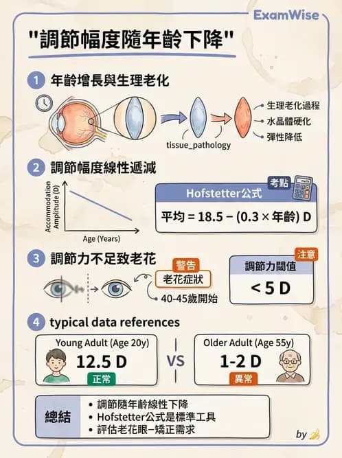 驗光生 - 屈光介質與眼壓調節 - AI 圖文解析預覽