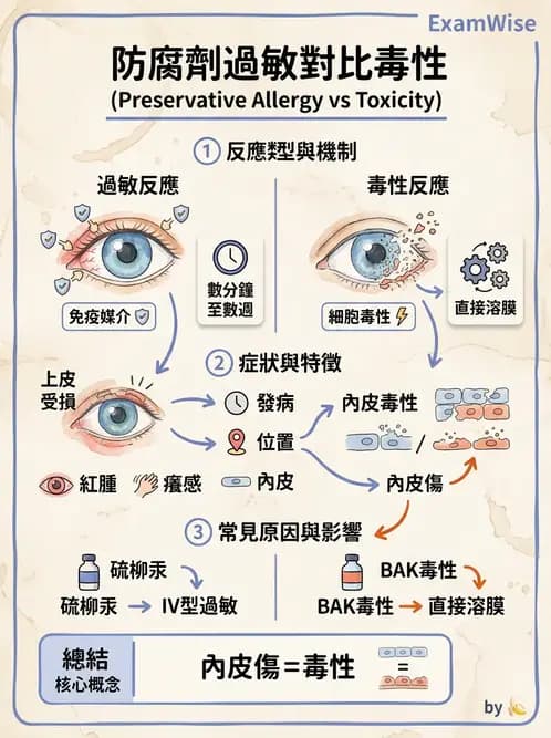 驗光生 - 乾眼、沉積物與結膜過敏反應 - AI 圖文解析預覽