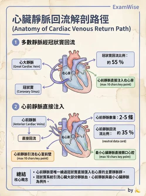 放射 - 心臟 - AI 圖文解析預覽
