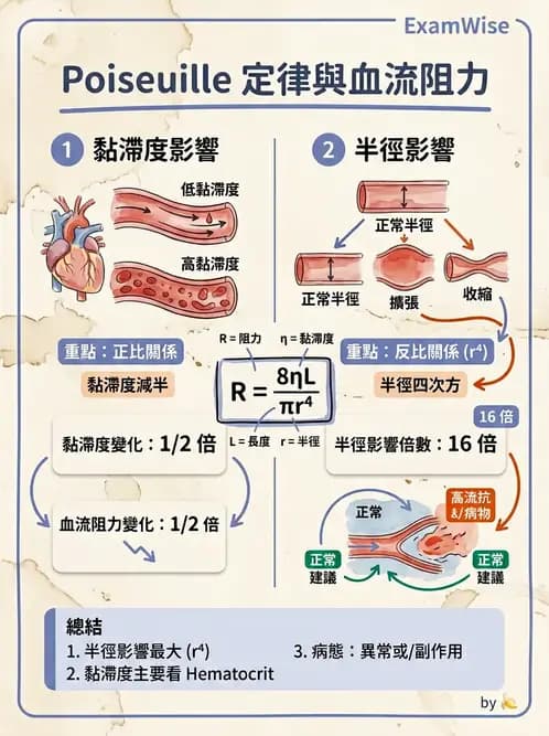 放射 - 心血管生理 - AI 圖文解析預覽