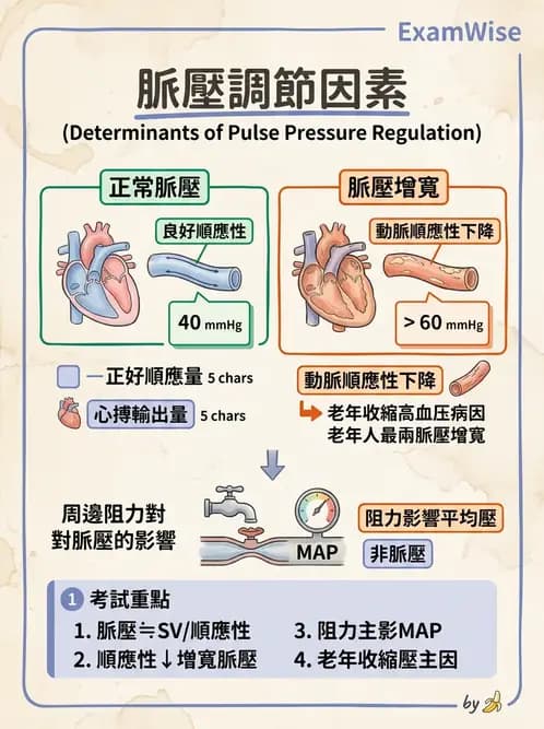 放射 - 心血管生理 - AI 圖文解析預覽