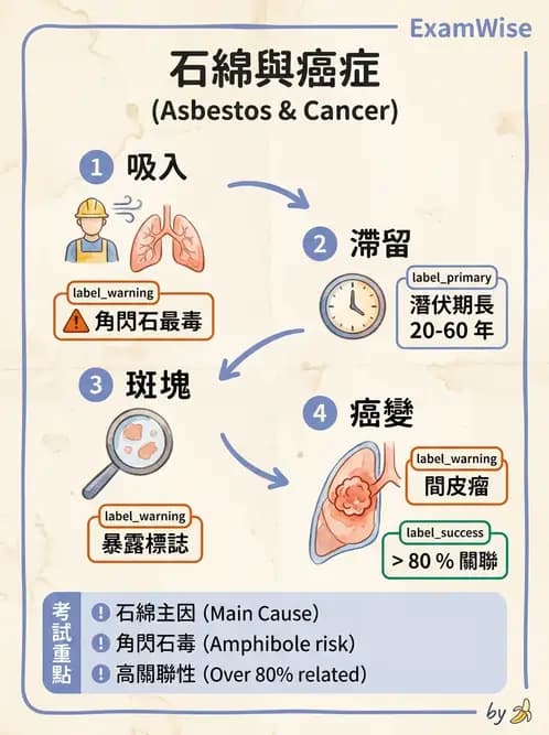 放射 - 呼吸系統疾病 - AI 圖文解析預覽