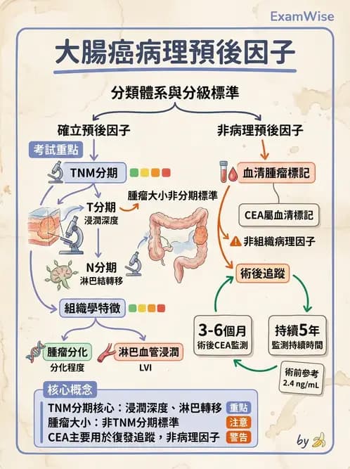 放射 - 口腔及腸胃道疾病 - AI 圖文解析預覽
