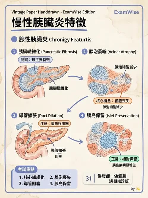 放射 - 肝臟、膽道及胰臟疾病 - AI 圖文解析預覽