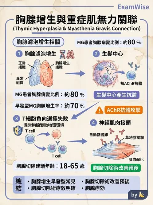 放射 - 造血及淋巴系統疾病 - AI 圖文解析預覽
