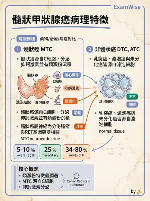 放射 - 內分泌系統疾病 - AI 圖文解析預覽