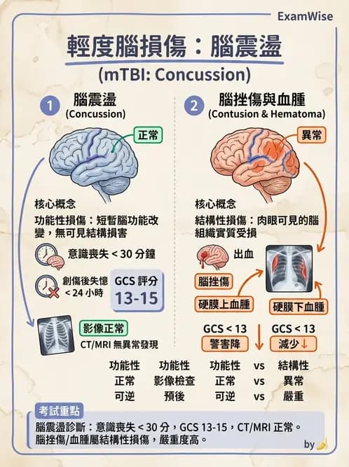 放射 - 神經系統疾病 - AI 圖文解析預覽