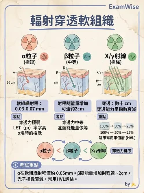 放射 - 帶電粒子與中子和物質作用 - AI 圖文解析預覽