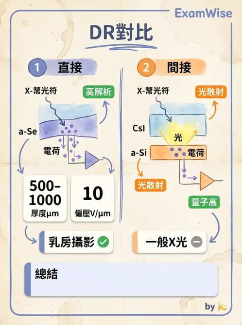 放射 - 透視與數位影像 - AI 圖文解析預覽
