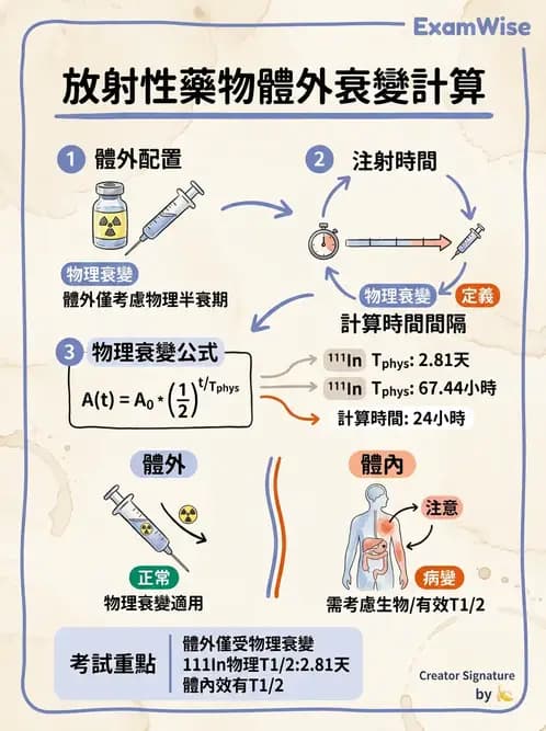 放射 - 放射性活度與衰變計算 - AI 圖文解析預覽