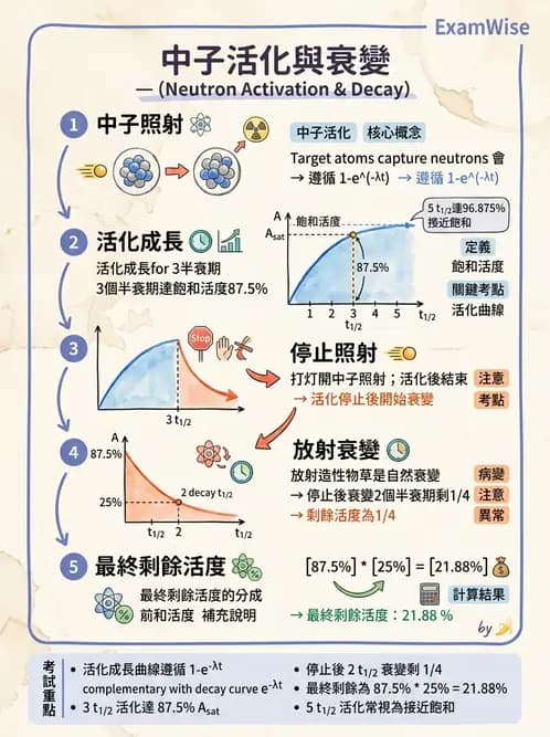 放射 - 放射性活度與衰變計算 - AI 圖文解析預覽