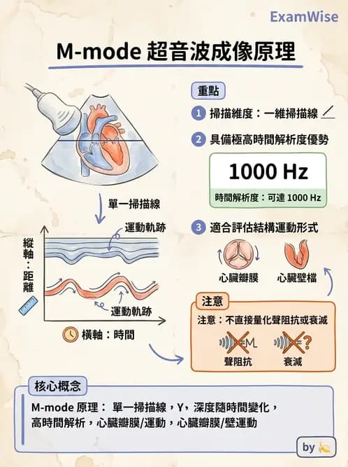 放射 - 超音波成像與都卜勒 - AI 圖文解析預覽