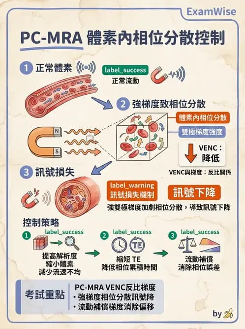 放射 - 空間編碼與影像品質 - AI 圖文解析預覽
