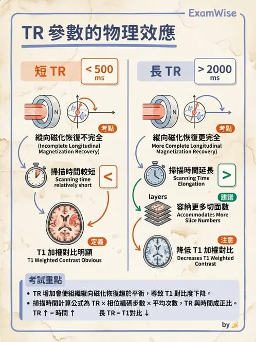 放射 - 脈衝序列與影像對比 - AI 圖文解析預覽