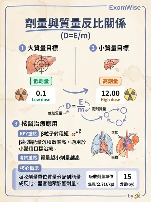 放射 - 體內劑量 - AI 圖文解析預覽