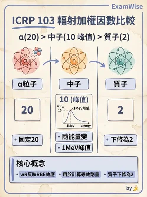 放射 - 輻射防護劑量量 - AI 圖文解析預覽