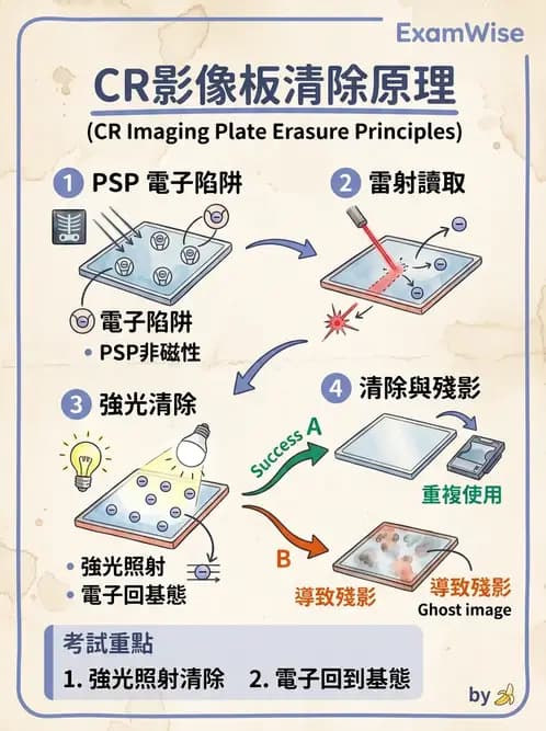 放射 - 電腦放射攝影(CR)原理與應用 - AI 圖文解析預覽