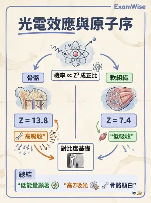 放射 - X光成像系統與影像品質 - AI 圖文解析預覽