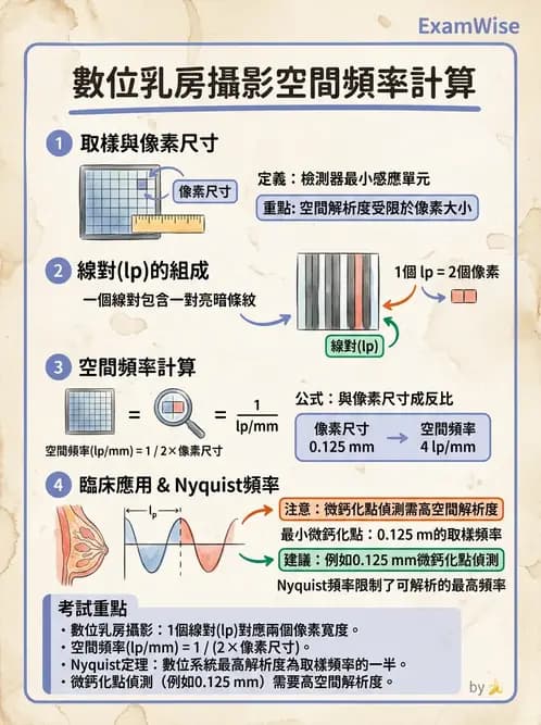 放射 - 乳房攝影裝置與影像品質 - AI 圖文解析預覽
