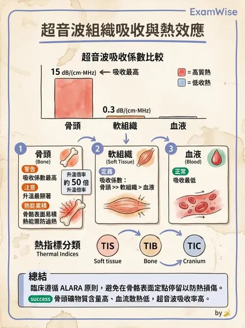 放射 - 超音波物理與系統原理 - AI 圖文解析預覽