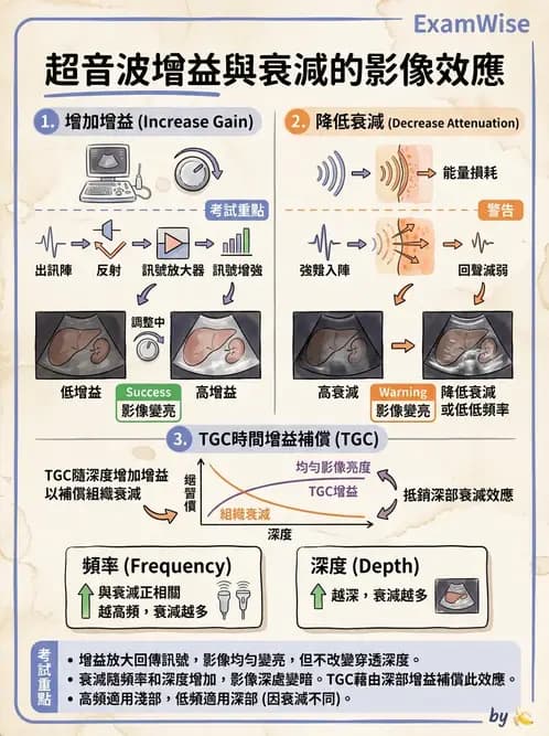 放射 - 超音波物理與系統原理 - AI 圖文解析預覽