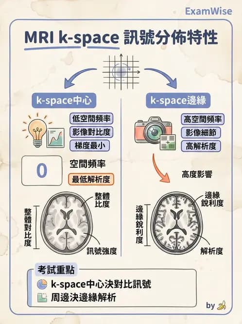 放射 - 梯度線圈與空間編碼 - AI 圖文解析預覽