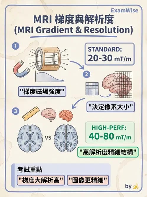 放射 - 梯度線圈與空間編碼 - AI 圖文解析預覽