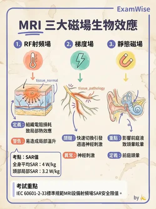 放射 - 射頻系統與線圈 - AI 圖文解析預覽