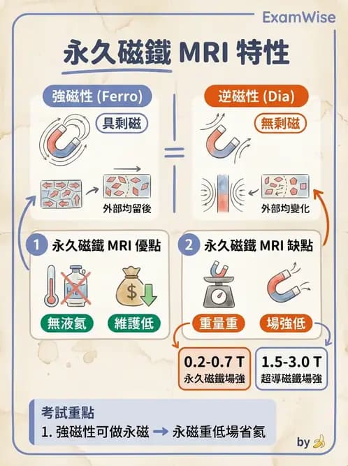 放射 - 主磁場、磁鐵類型與勻場 - AI 圖文解析預覽