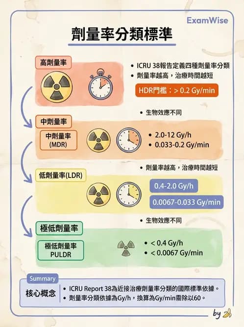 放射 - 近接治療機 - AI 圖文解析預覽