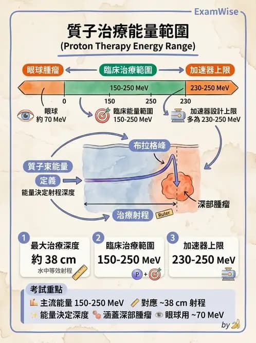 放射 - 質子及中子治療機 - AI 圖文解析預覽