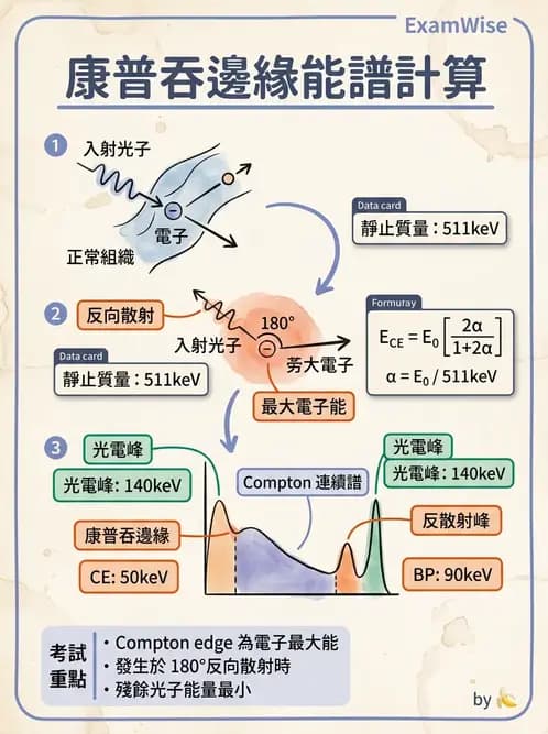 放射 - 非影像閃爍偵測器 - AI 圖文解析預覽