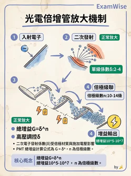放射 - 非影像閃爍偵測器 - AI 圖文解析預覽