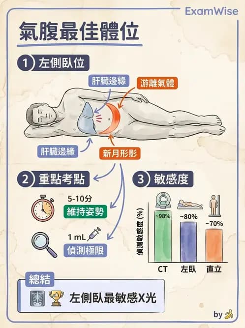 放射 - 軀幹四肢攝影技術 - AI 圖文解析預覽