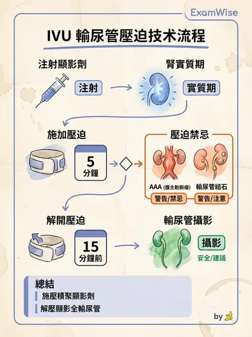 放射 - 泌尿生殖攝影 - AI 圖文解析預覽