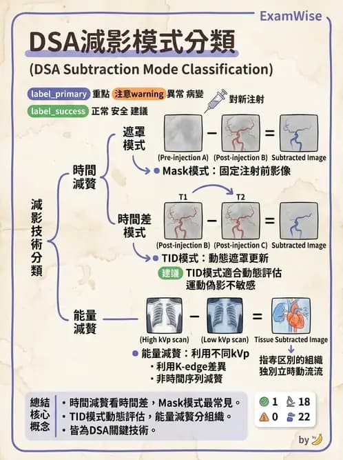 放射 - 血管攝影原理與解剖 - AI 圖文解析預覽