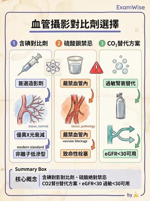放射 - 血管攝影原理與解剖 - AI 圖文解析預覽