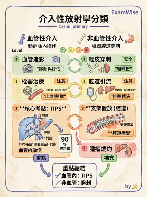 放射 - 導管技術與介入性治療 - AI 圖文解析預覽