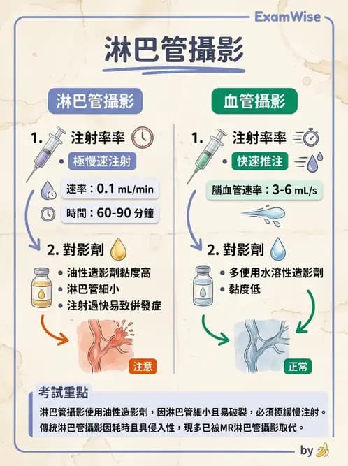 放射 - 血管攝影原理與解剖 - AI 圖文解析預覽