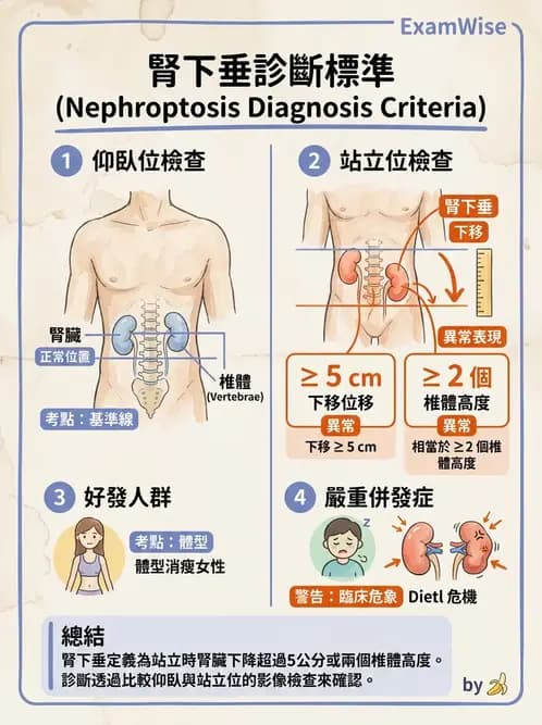 放射 - 泌尿生殖攝影 - AI 圖文解析預覽