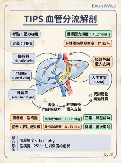 放射 - 導管技術與介入性治療 - AI 圖文解析預覽