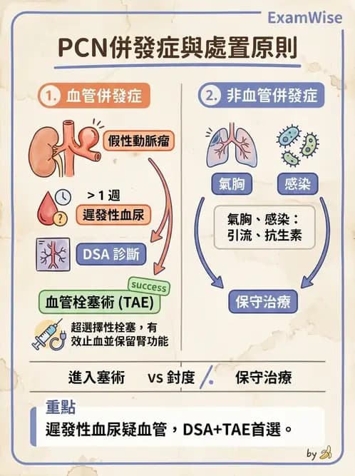 放射 - 導管技術與介入性治療 - AI 圖文解析預覽