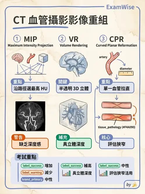 放射 - CTA與CT影像技術應用 - AI 圖文解析預覽